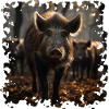 Wild boars are very adaptable