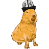 Capybara with funny hat