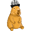 Capybara Kirghizistan