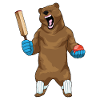 Bear Cricket Cricket Bats