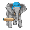 Elephant Cricket Cricket Bats
