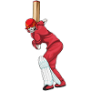 Skeleton Cricket Cricket Bats