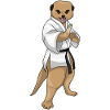 meerkat karate martial arts