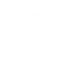 Yoga Coffee Naps Meditation