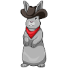 Rabbit Cowboy Cowboy Hat
