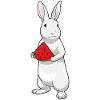 Rabbit Watermelon