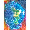 Rainbow Tie-Dye Mayotte