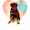 Rottweiler Rétro