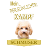 Persönlicher Kampfschmuser - Zwergpudel