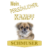 Persönlicher Kampfschmuser - Tibet Spaniel