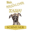 Persönlicher Kampfschmuser - Whippet