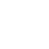 Cow Skull Boho