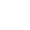 Cow Skull Boho