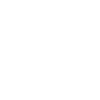 Cow Skull Boho