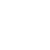 Cow Skull Boho