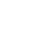 Cow Skull Boho
