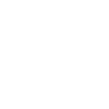Cow Skull Boho