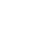 Cow Skull Boho