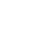 Cow Skull Boho