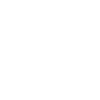 Cow Skull Boho