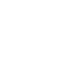 Cow Skull Boho