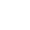 Cow Skull Boho