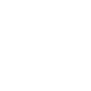 Cow Skull Boho