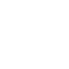 Cow Skull Boho
