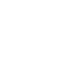 Cow Skull Boho