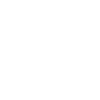 Cow Skull Boho