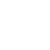 Cow Skull Boho