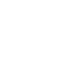 Cow Skull Boho
