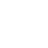 Cow Skull Boho
