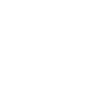 Cow Skull Boho