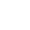 Cow Skull Boho