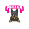 Bouvier australien Red Blue Heeler