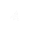 Motorrad Quad