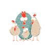 Chickens Are Like Potato Chips