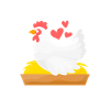 J’aime mes poules