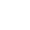 Violon Violon Femelle