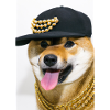 Cooler Hund mit Mütze