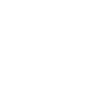 Policeman Police