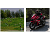 Motorcycle Memes Weekend