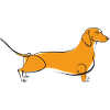 Yellow Doxie