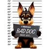 Bad Dog German Shepherd Schäferhund