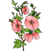 Fleur