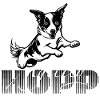 Hopp -Agility