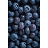 Bleuets