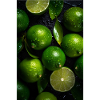 Limes V1