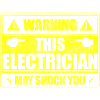 Electrics Profession Volt Blitz